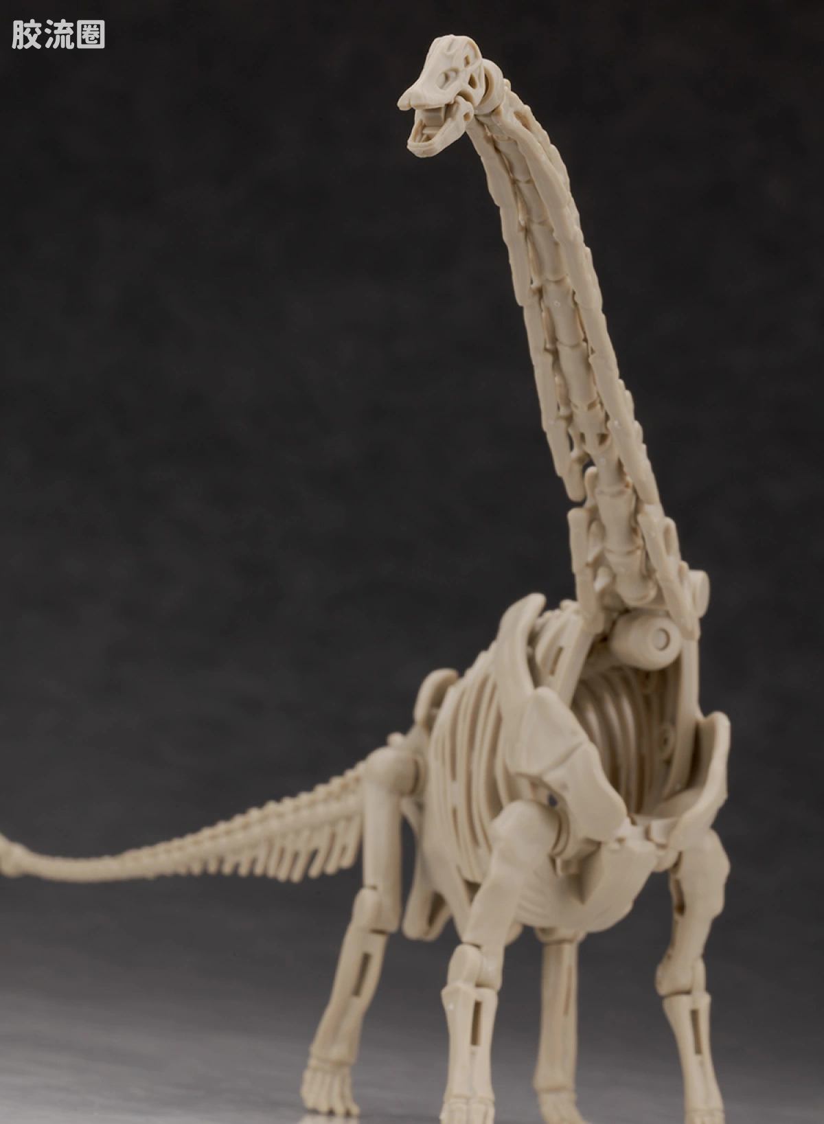 万代综合拼装模型系列 Plannosaurus <侏罗纪世界 重生> 泰坦巨龙 - 图片